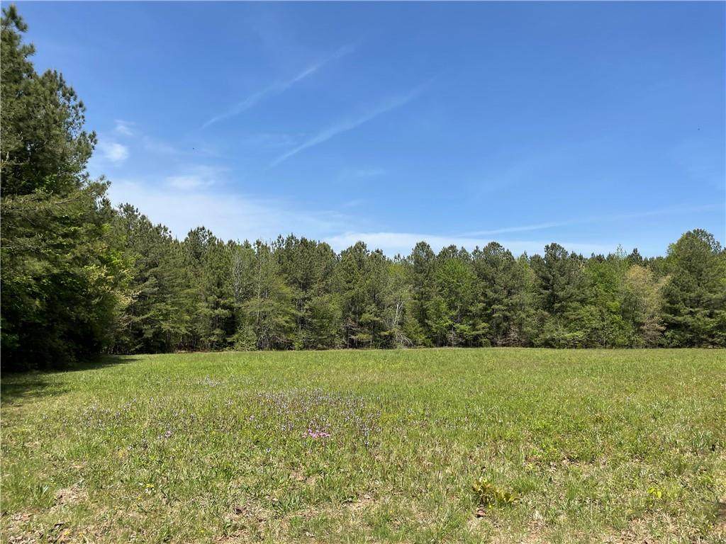 488 Wimberly Hill Road - Photo 1