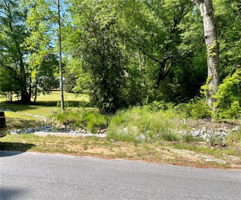 0 Lithia Way - Photo 1