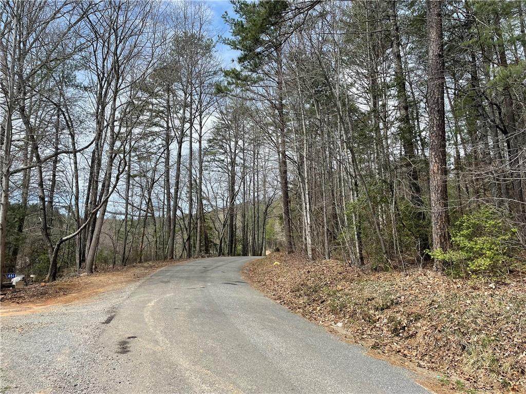 651 Colwell Church Road - Photo 1