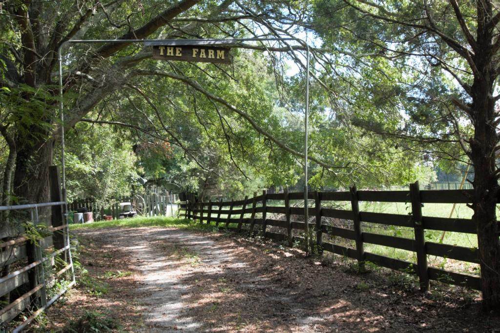 980 Corley Road - Photo 1