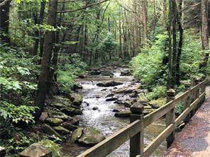 Lot 3 Wilderness Way - Photo 1