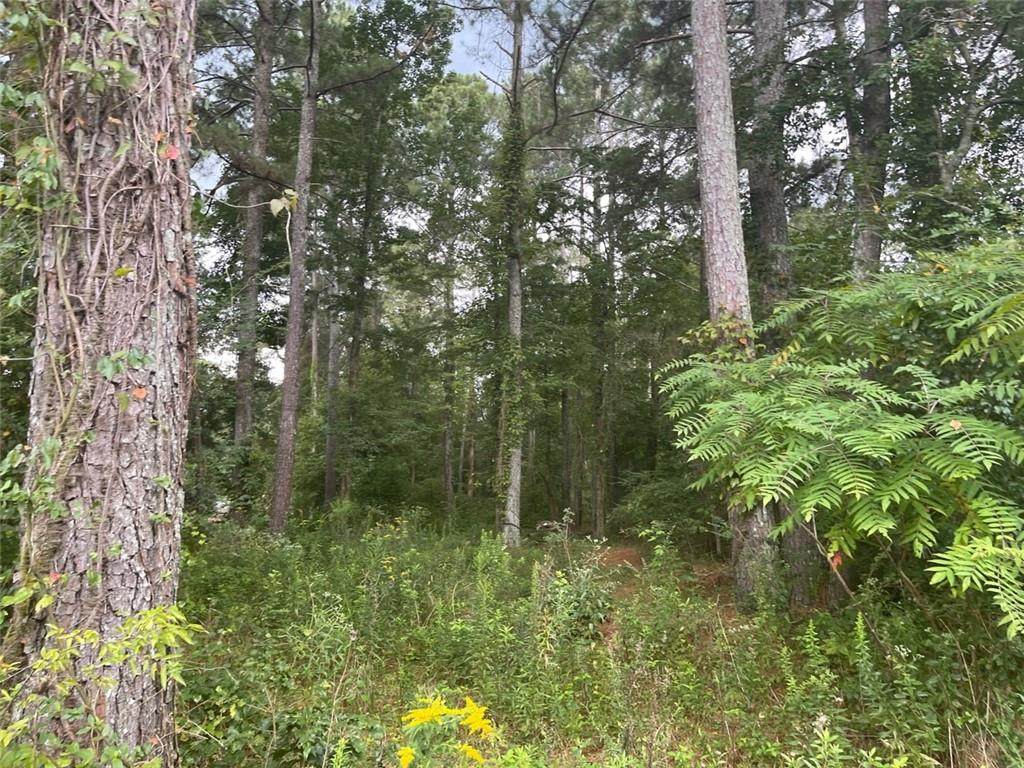 0 Forrest Drive - Photo 1