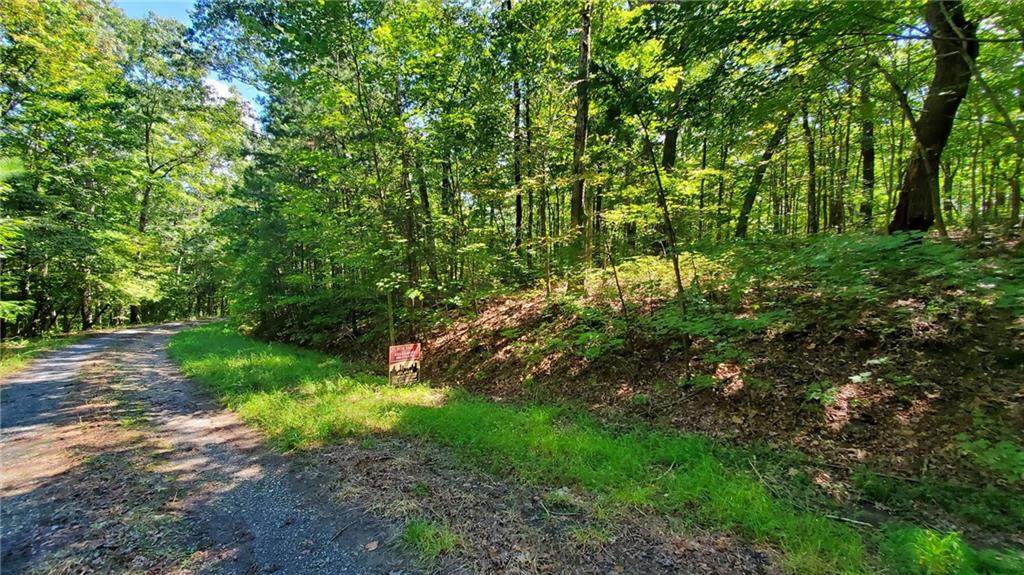 0 Harris Branch/Quarter Lane Road - Photo 1