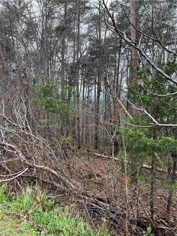 0 Hwy 136 - Photo 1