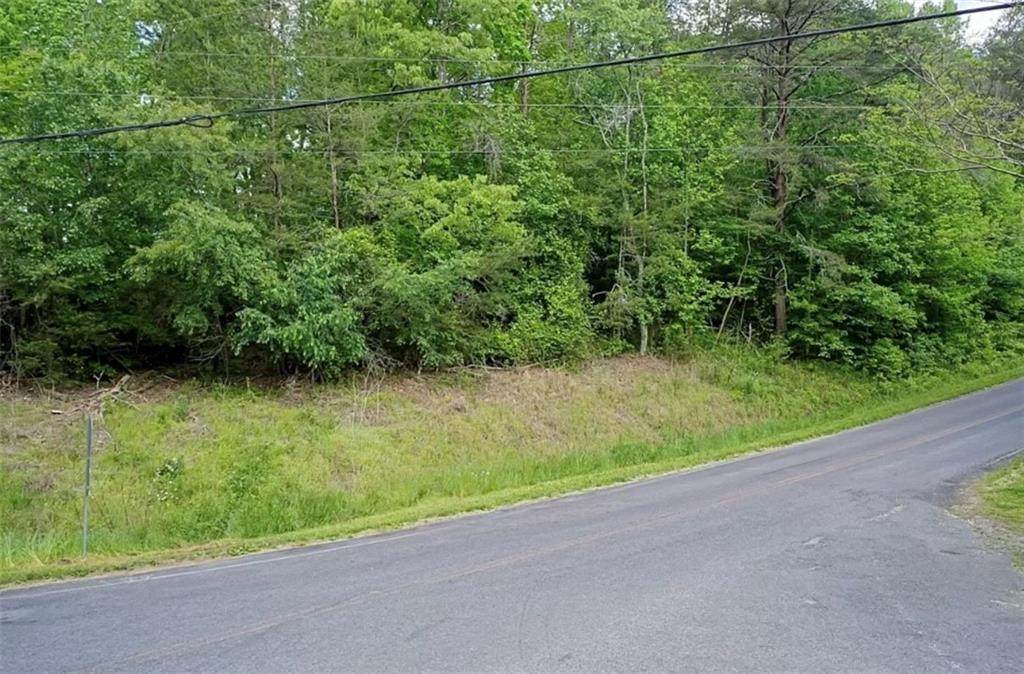 7.77 Big Creek Road - Photo 1