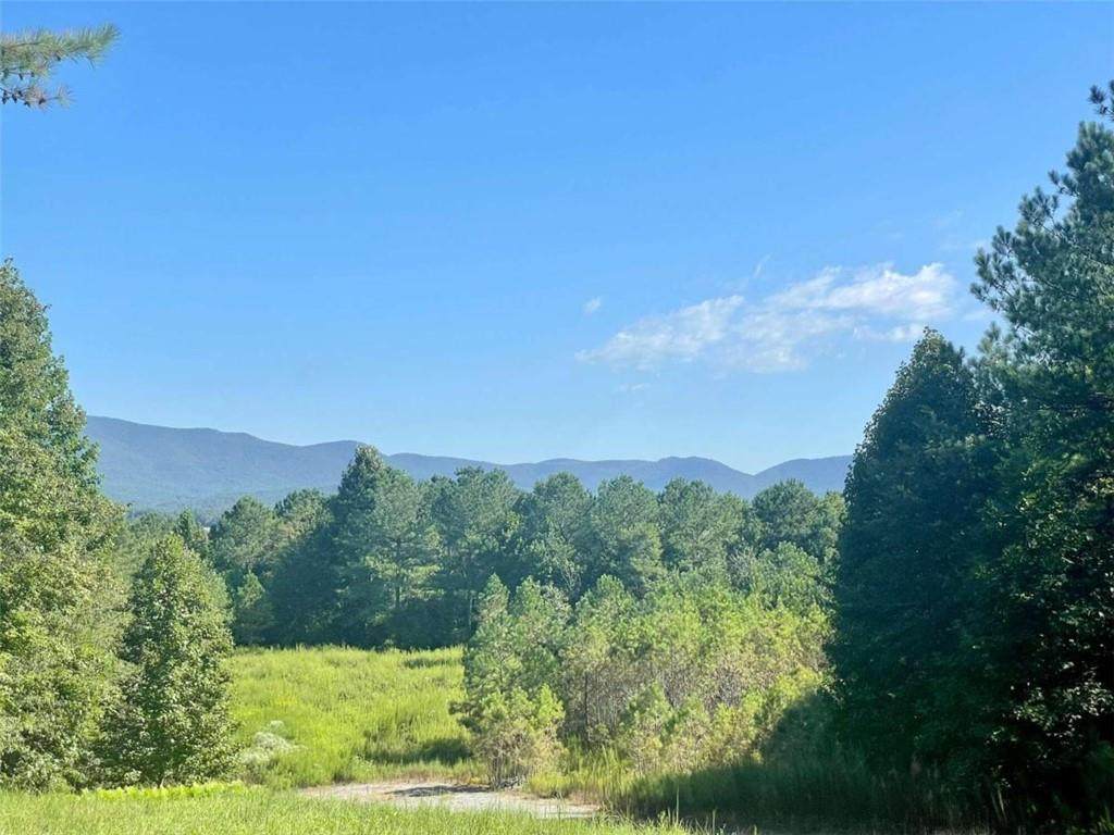 E11 Reece Mountain Road - Photo 1