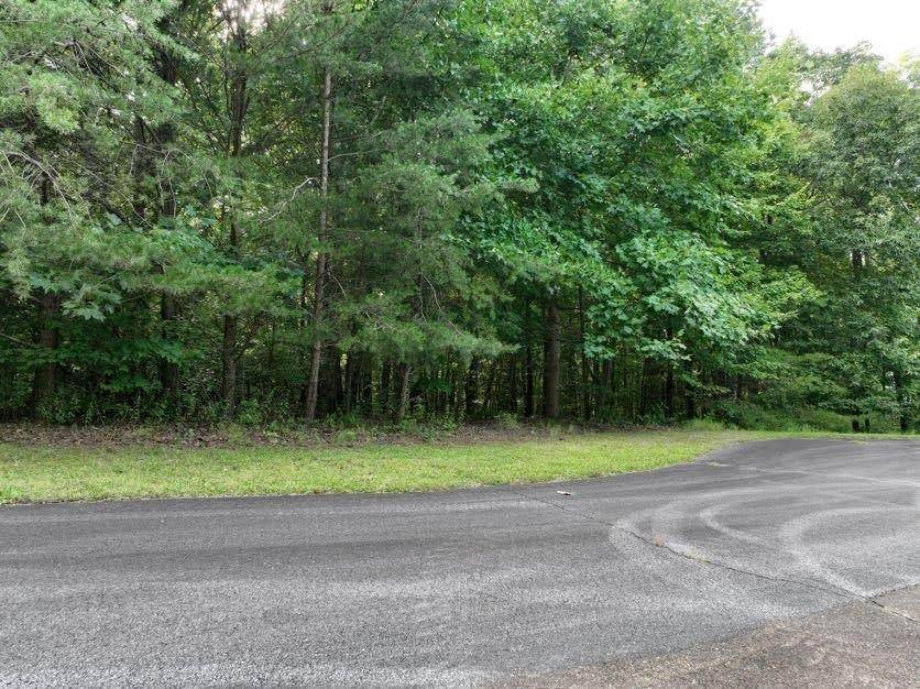 94 Northland Trail - Photo 1