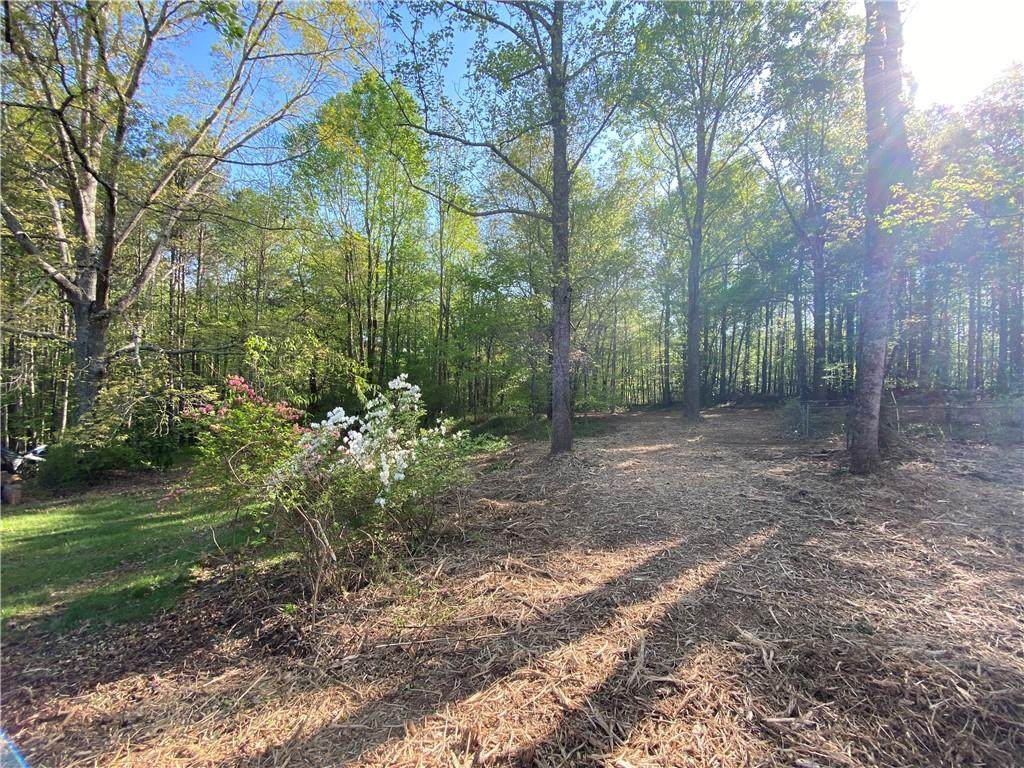 397B Owens Store Road - Photo 1
