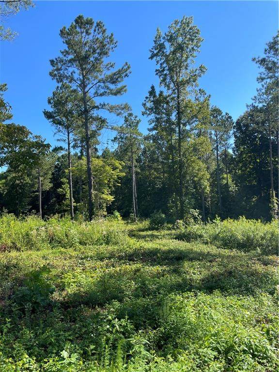 0 Wildlife Ridge Road - Photo 1
