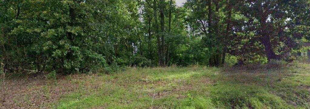 6644 Chaparral Drive - Photo 1