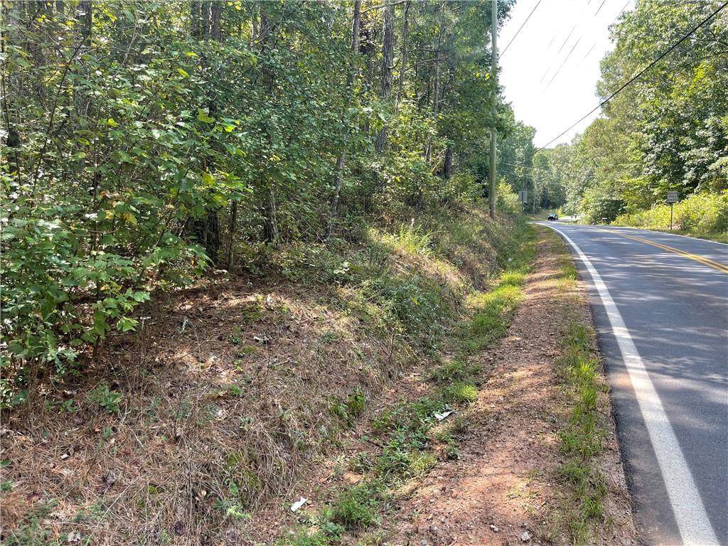 0 Wallace Tatum Road - Photo 1