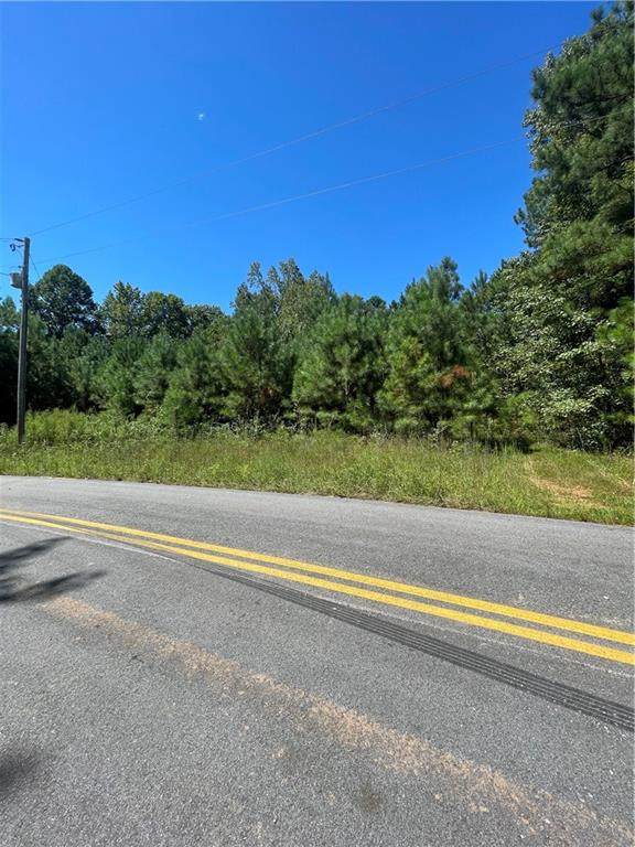 238 Old Hamilton Mills Road - Photo 1