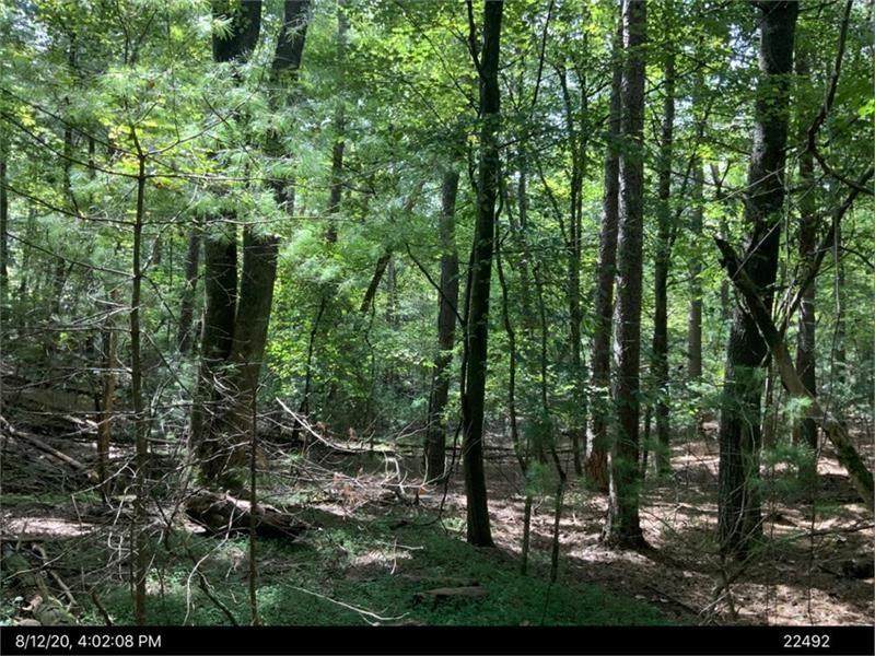 Lot 13 Misty Hollow Road - Photo 1