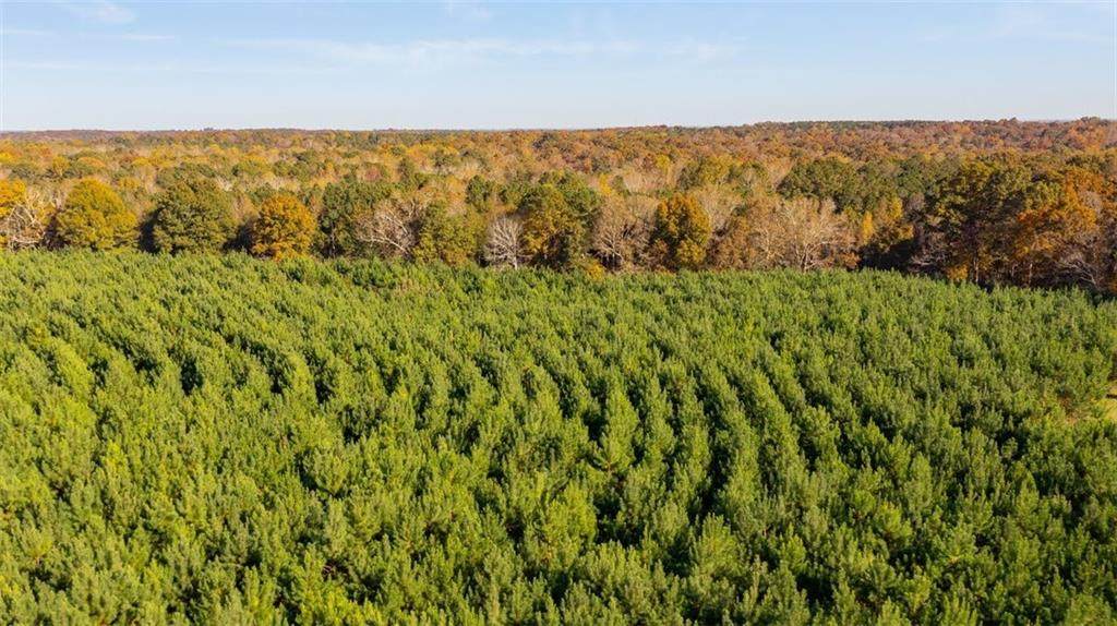 0 Shirey Dairy, Tract 6 (10 Acres) - Photo 1