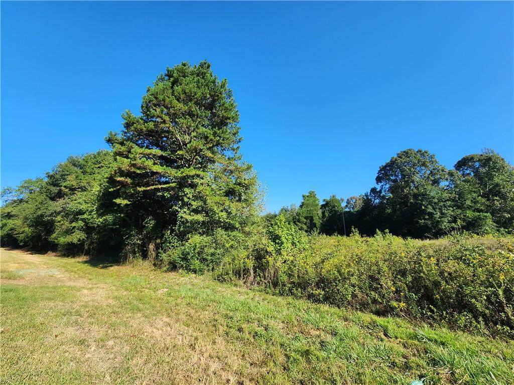 0 Hwy 51 - Photo 1