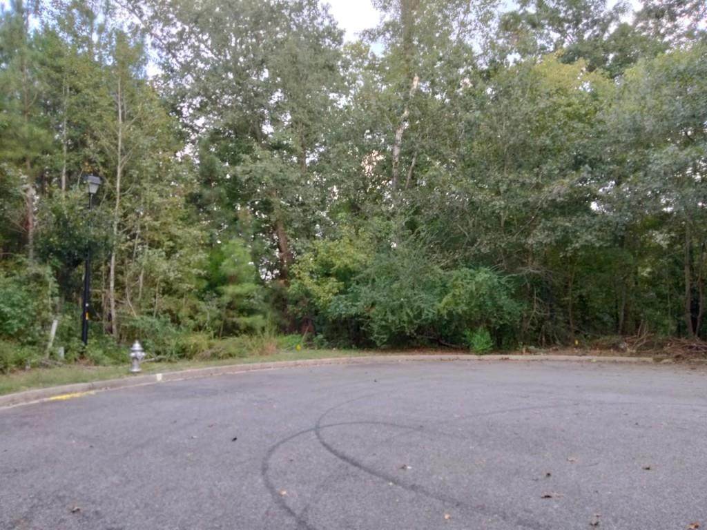 602 Katy Creek - Photo 1