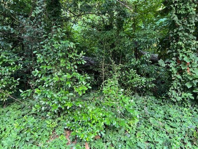 1138 Moores Mill Road - Photo 1