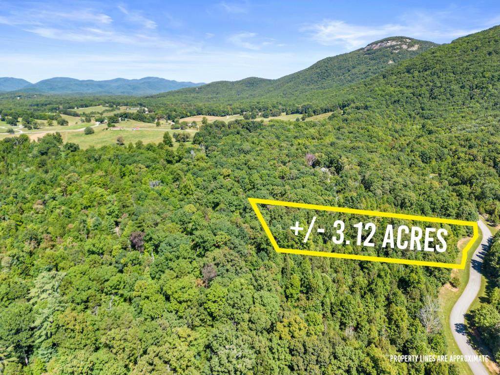 0 N Laceola Road - Photo 1