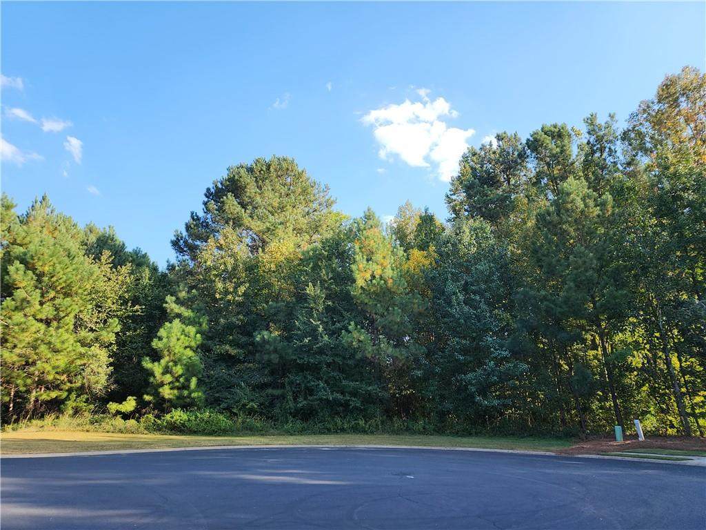 848 Cog Hill - Photo 1