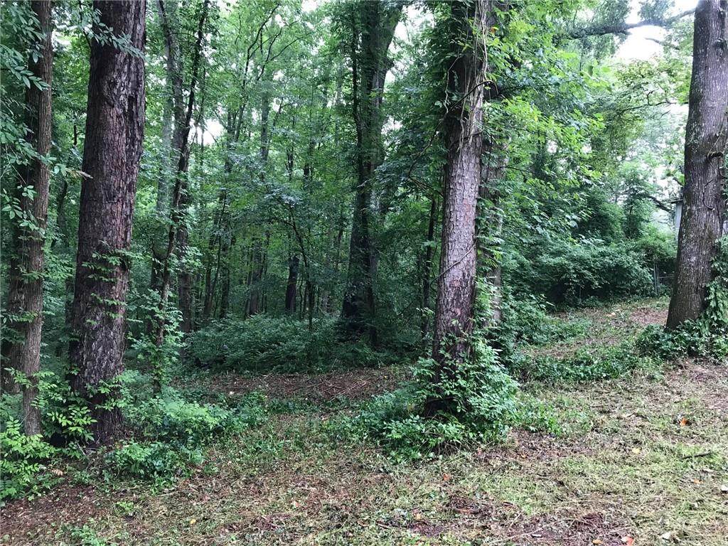 5150 Buchanan Highway - Photo 1