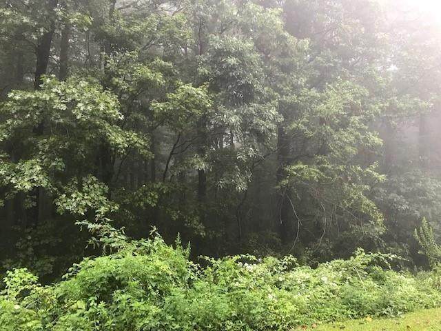 000 Burnt Mountain Road - Photo 1