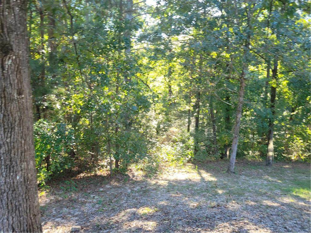 2125 Braswell Lane - Photo 1