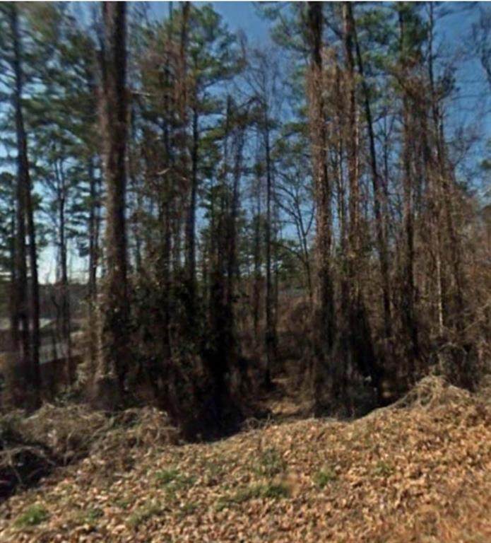 0 Wallace Circle - Photo 1
