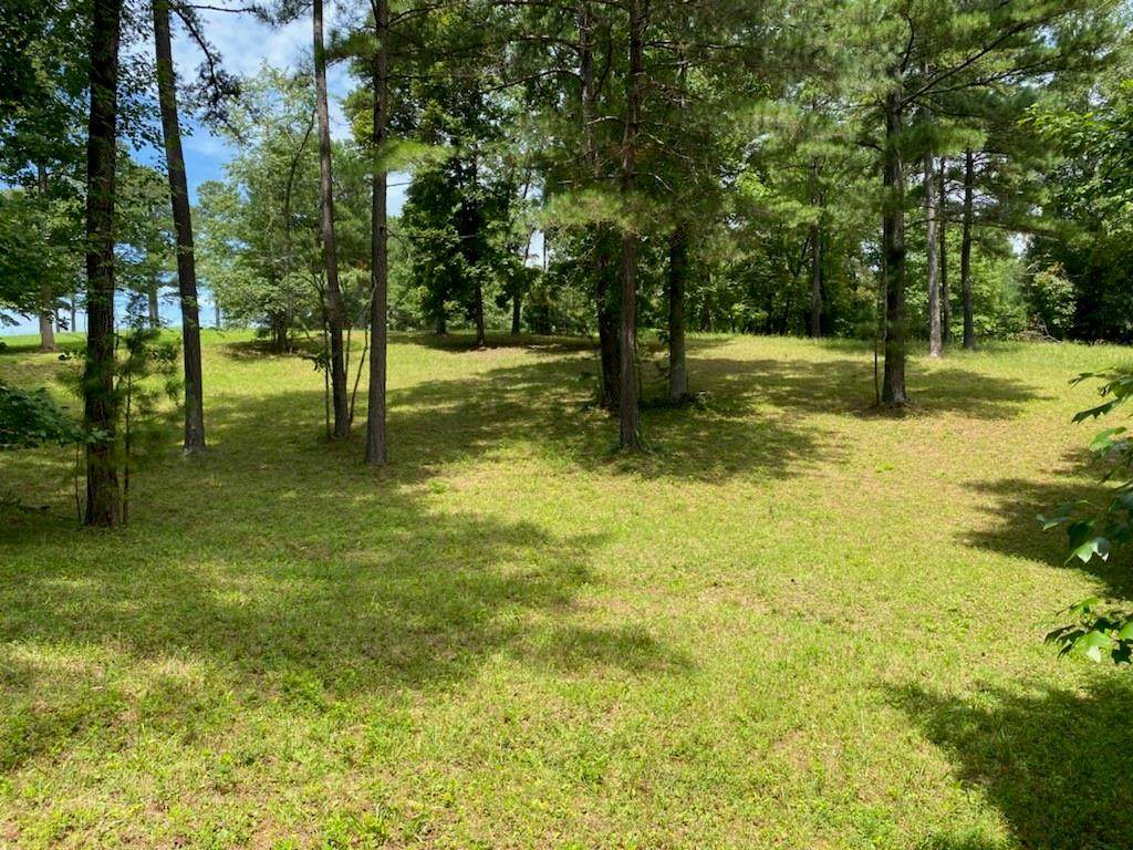 00 Fox Cove Road - Photo 1