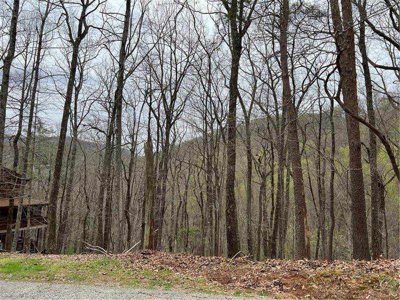 LOTH85 Mountain Oak Road - Photo 1