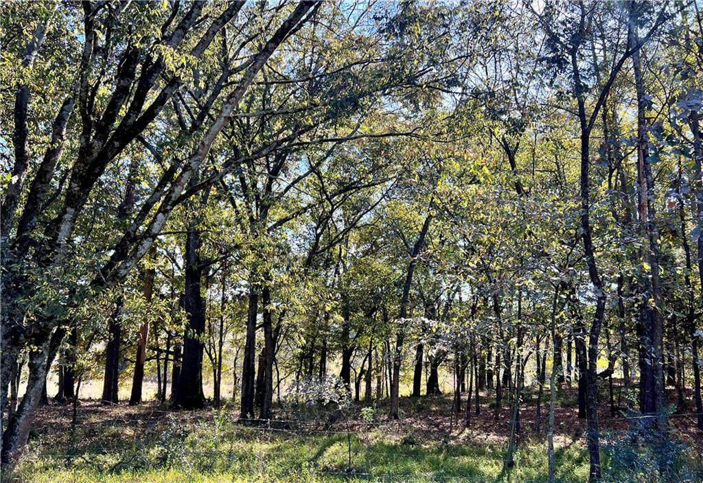 00 W Kinman Road - Photo 1