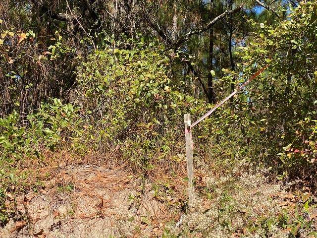 7429 Fullbright Road - Photo 1