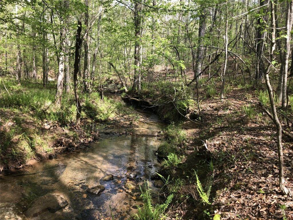 0 Red Rogers And Aiken Road - Photo 1