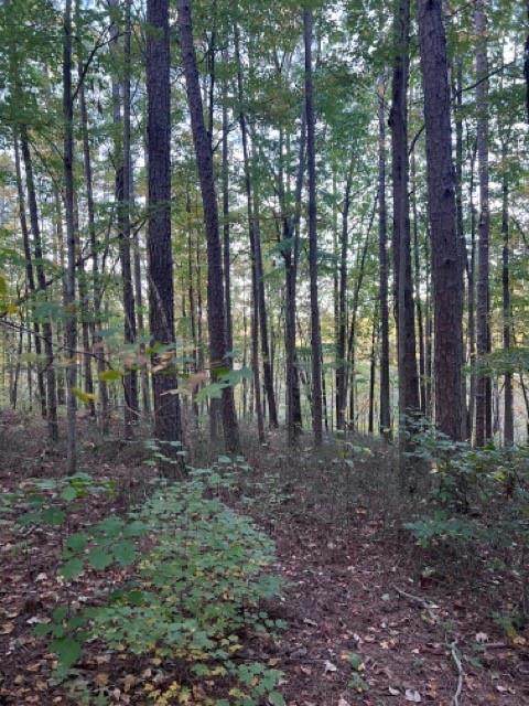 Trt 7 Bear Mountain Road - Photo 1