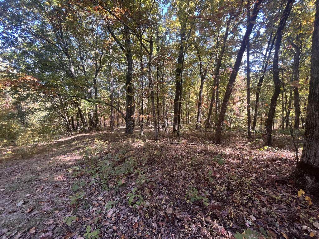 Lot 20 Wauka Mountain Terrace - Photo 1