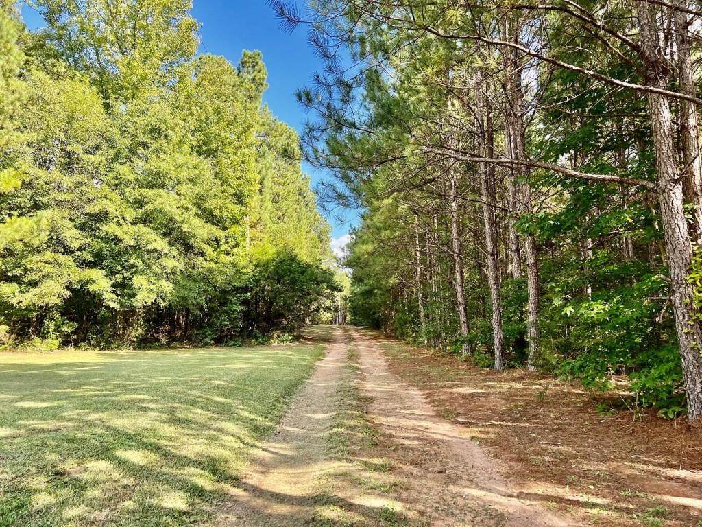 009 Hwy 85 Con - Photo 1