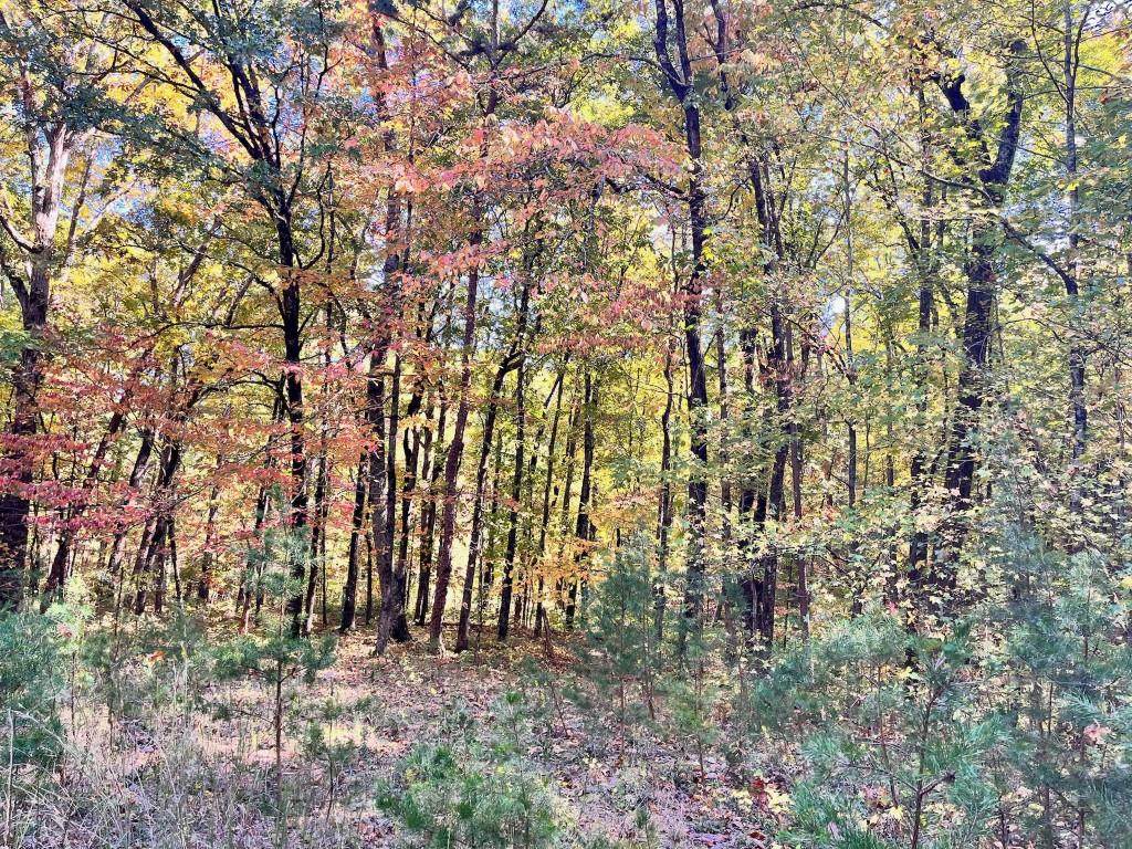 LOT 10 Wauka Mountain Terrace - Photo 1