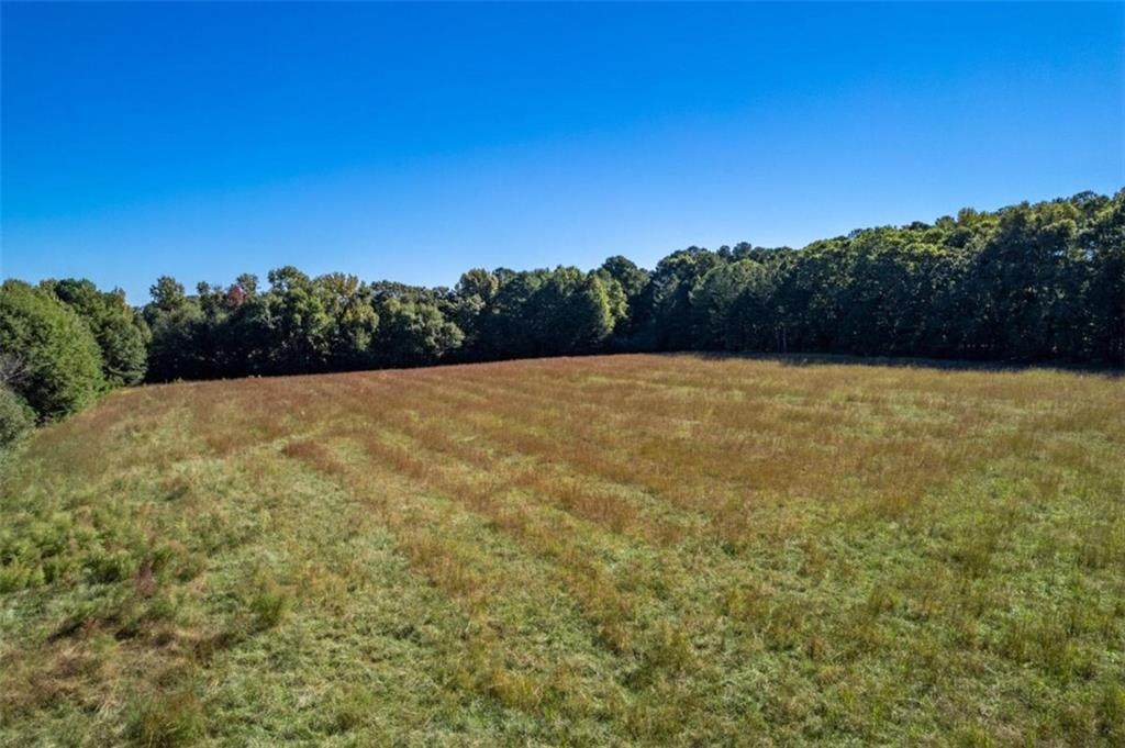700 Poplar Street - Photo 1