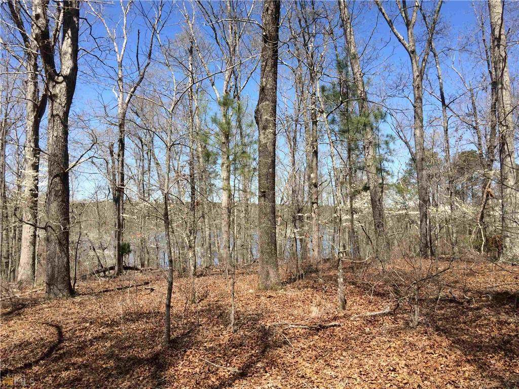 0 Wolf Creek Road - Photo 1