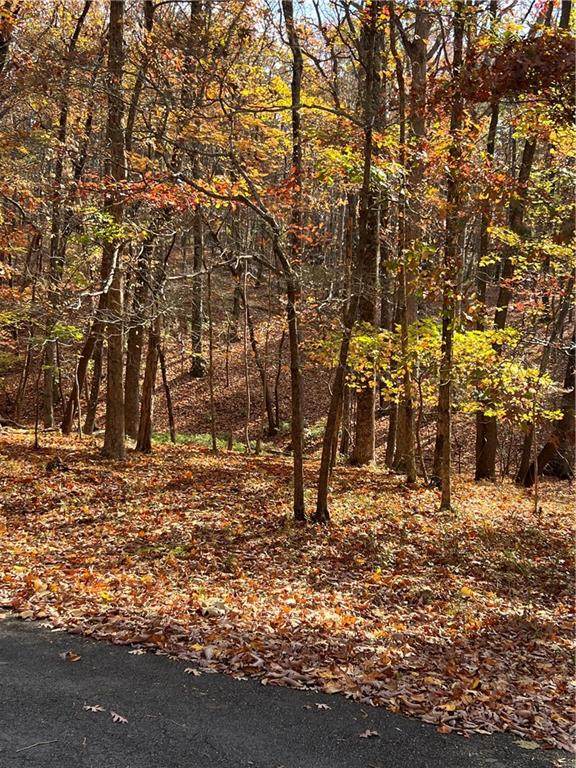 1367 Oglethorpe Mountain Road - Photo 1