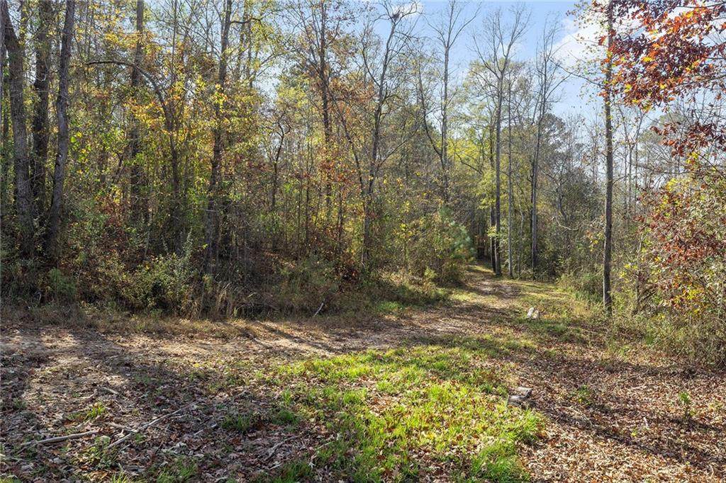0 Hutcheson Ferry Road - Photo 1