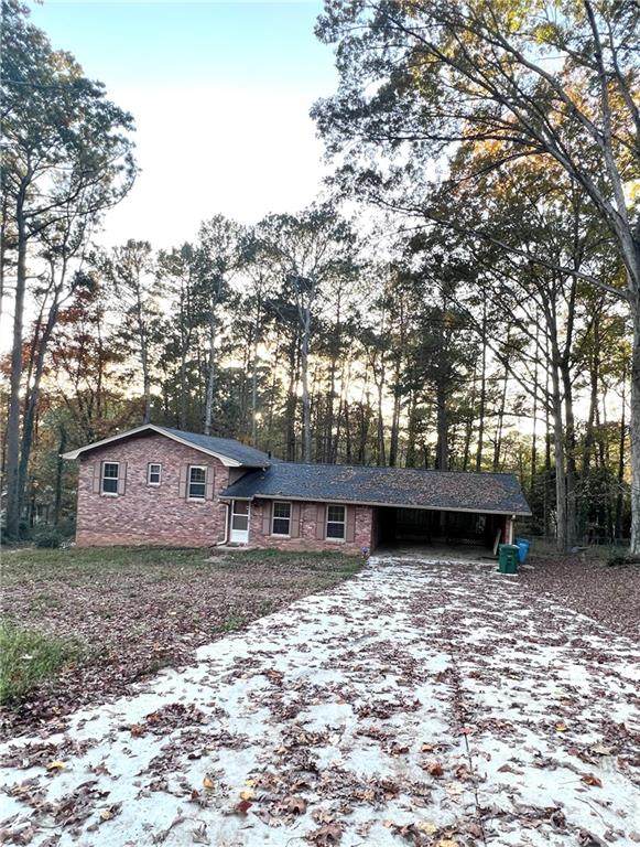 1497 Pine Street - Photo 1