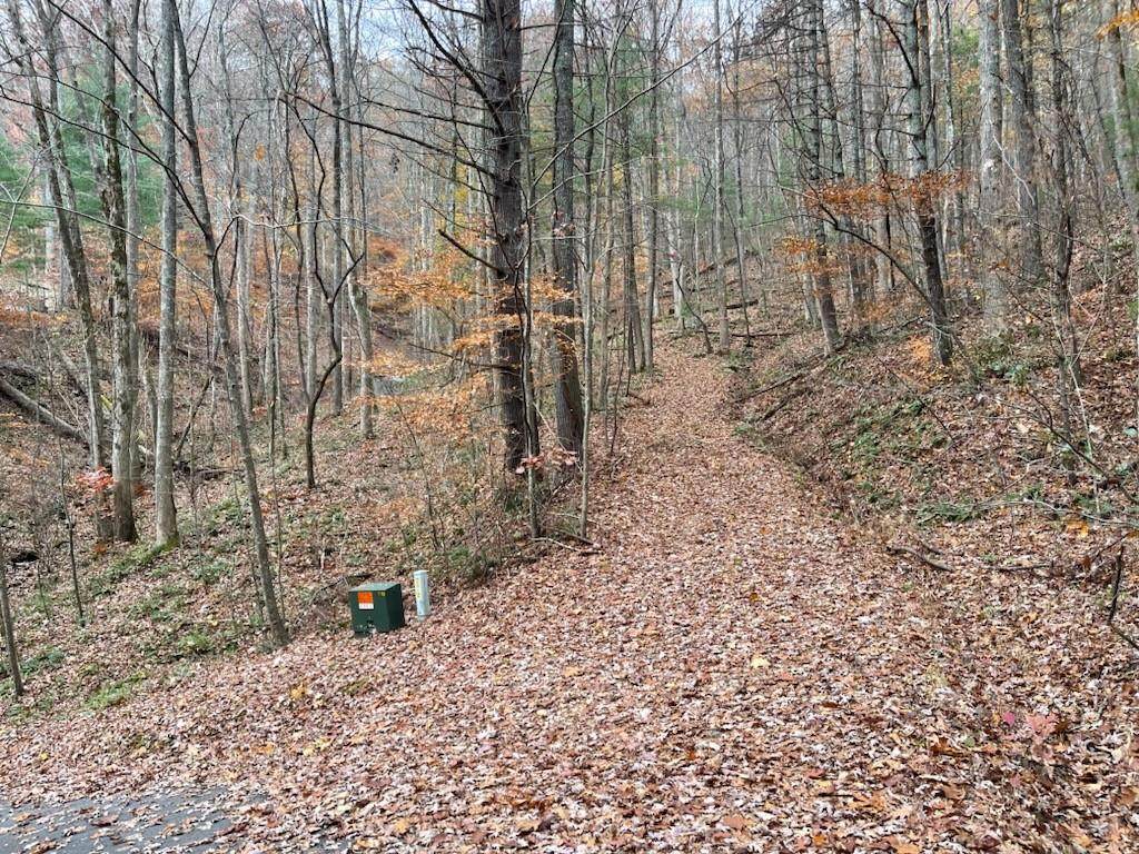 3 White Oak Forest Road - Photo 1