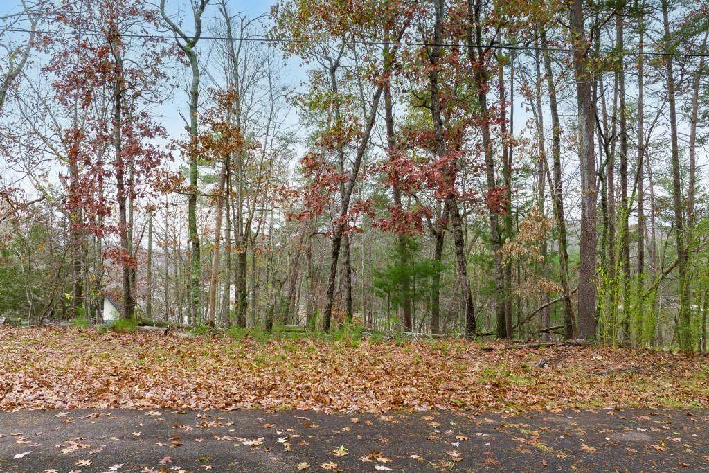 7631 Willow Court - Photo 1