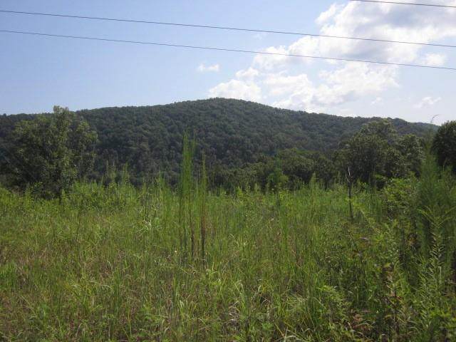 1849 Old Whitestone Road - Photo 1