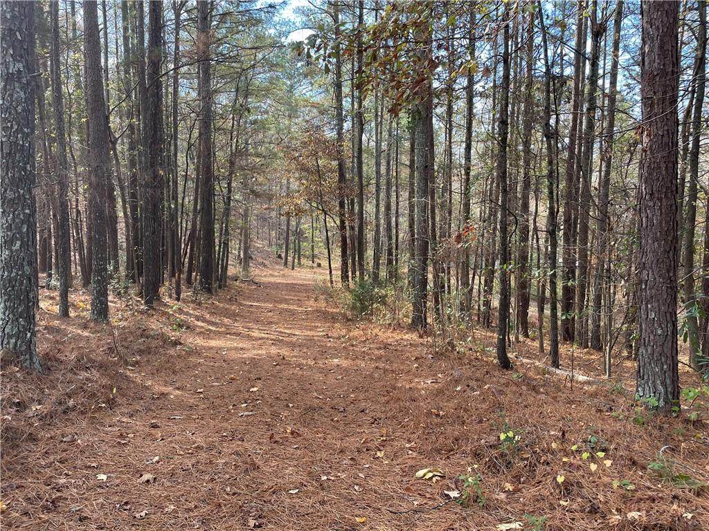 1741 Daves Creek Road - Photo 1