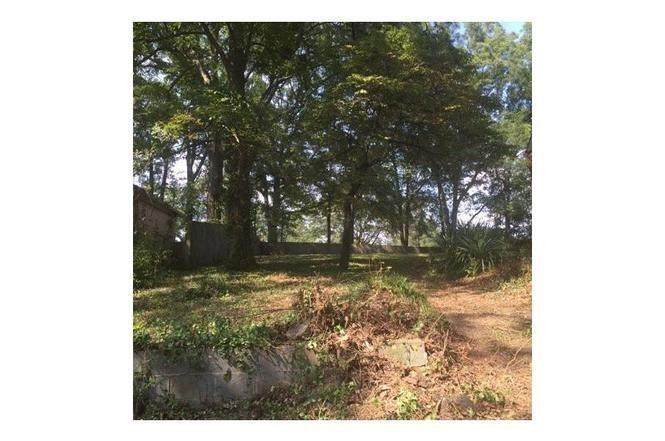 0 Oleander Street - Photo 1