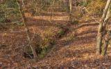 0 Oak Hill Road- 4.28Ac - Photo 1
