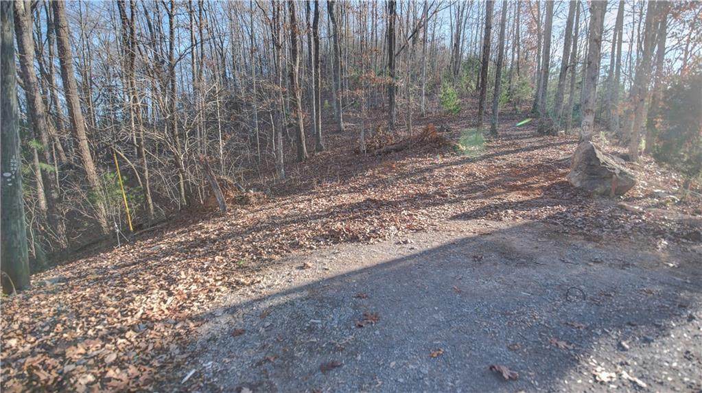 900 Echo Lane - Photo 1