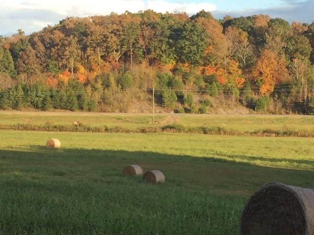 0 White River Road - Photo 1
