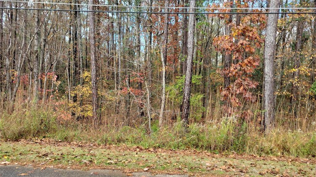 841 South Plantation Parkway - Photo 1